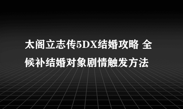 太阁立志传5DX结婚攻略 全候补结婚对象剧情触发方法