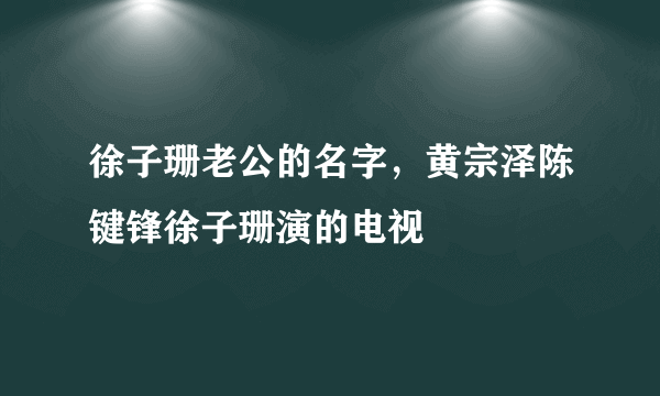 徐子珊老公的名字，黄宗泽陈键锋徐子珊演的电视