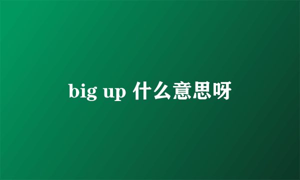 big up 什么意思呀