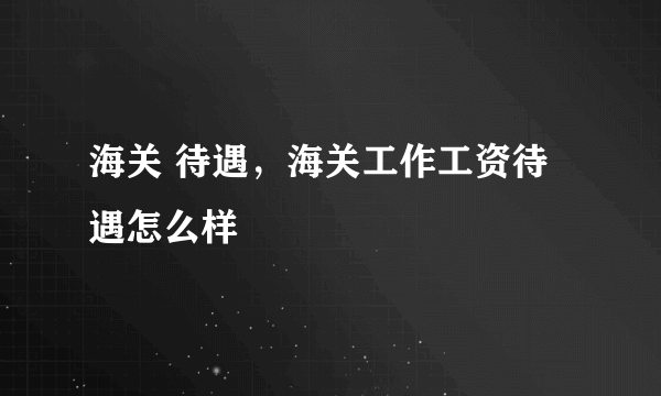 海关 待遇，海关工作工资待遇怎么样