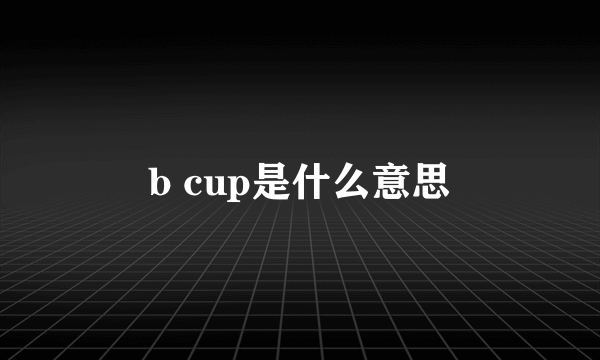 b cup是什么意思