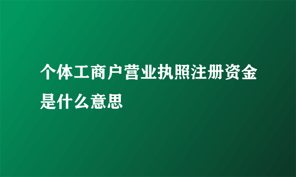 个体工商户营业执照注册资金是什么意思