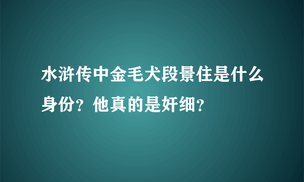 水浒传中金毛犬段景住是什么身份？他真的是奸细？