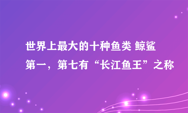 世界上最大的十种鱼类 鲸鲨第一，第七有“长江鱼王”之称