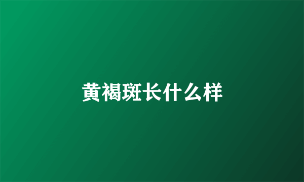 黄褐斑长什么样