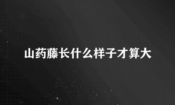 山药藤长什么样子才算大