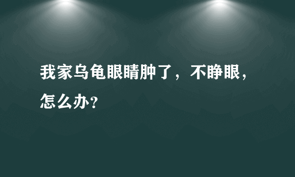 我家乌龟眼睛肿了，不睁眼，怎么办？