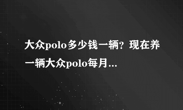 大众polo多少钱一辆？现在养一辆大众polo每月大约花多少钱？