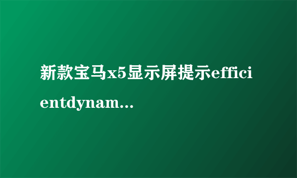 新款宝马x5显示屏提示efficientdynamics什么意思