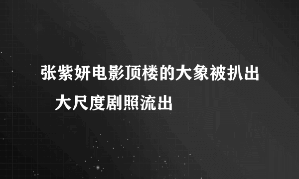 张紫妍电影顶楼的大象被扒出   大尺度剧照流出