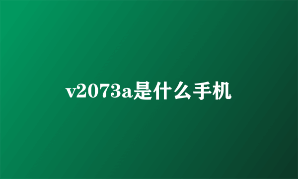 v2073a是什么手机