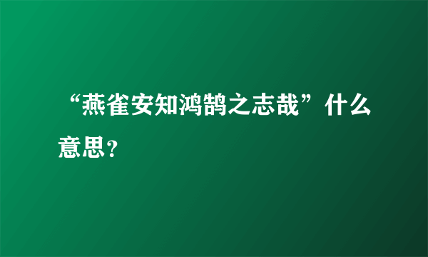 “燕雀安知鸿鹄之志哉”什么意思？