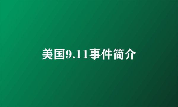 美国9.11事件简介