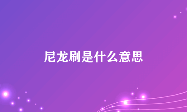 尼龙刷是什么意思