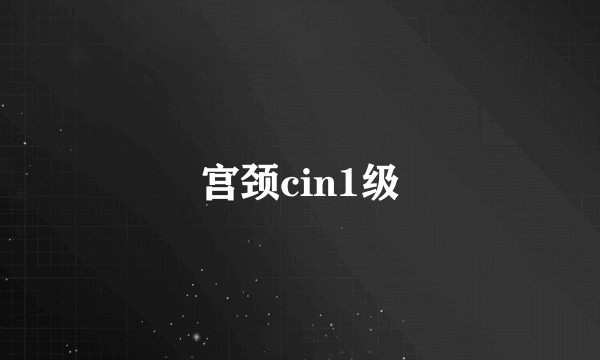 宫颈cin1级