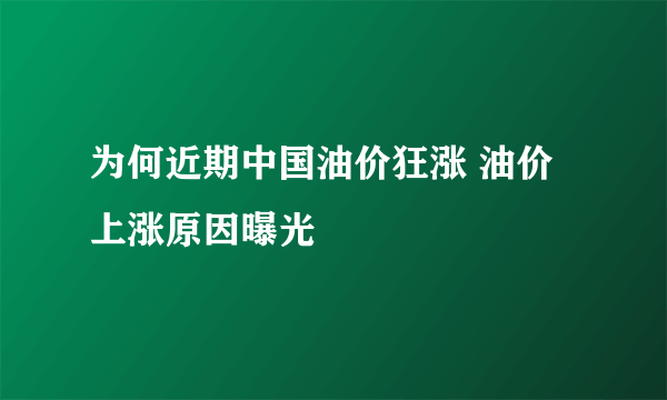 为何近期中国油价狂涨 油价上涨原因曝光