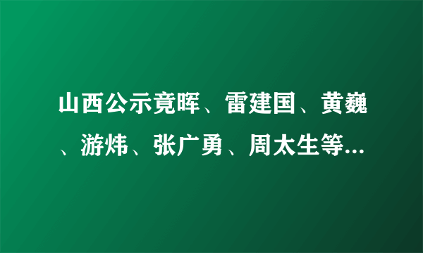 山西公示竟晖、雷建国、黄巍、游炜、张广勇、周太生等12人(简历)|雷建国|张广勇|黄巍_飞外新闻