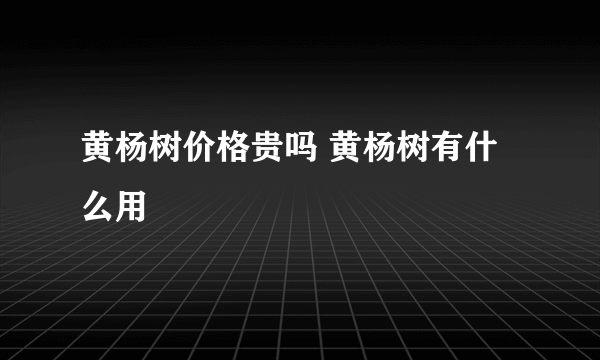 黄杨树价格贵吗 黄杨树有什么用