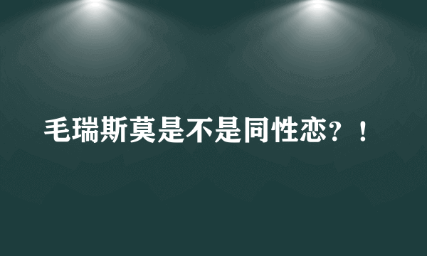 毛瑞斯莫是不是同性恋？！