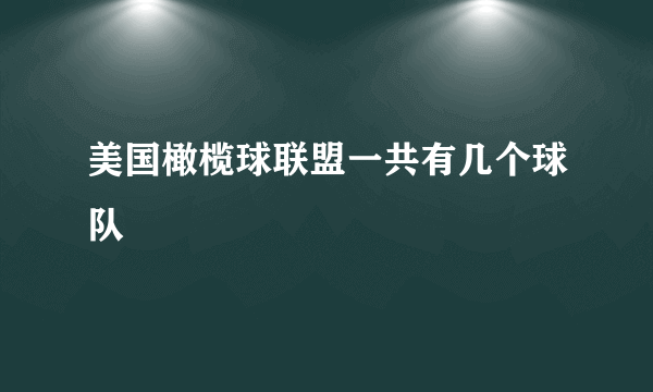 美国橄榄球联盟一共有几个球队