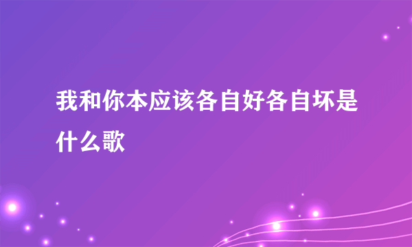 我和你本应该各自好各自坏是什么歌