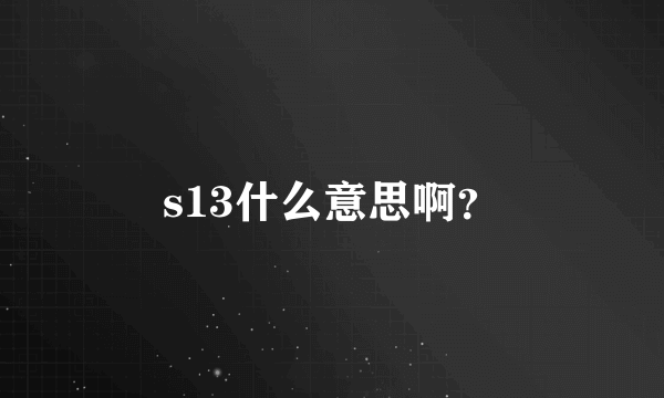 s13什么意思啊？