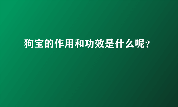 狗宝的作用和功效是什么呢？