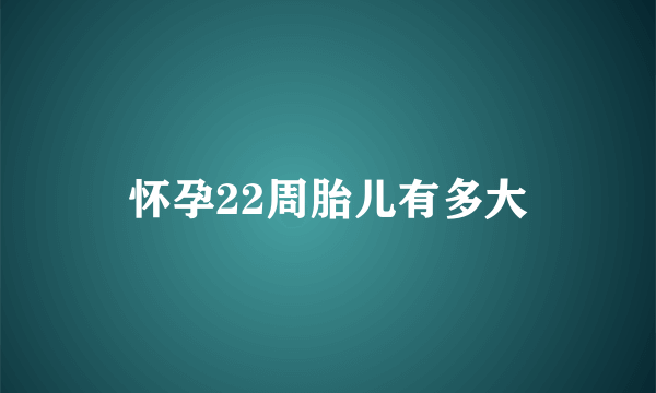 怀孕22周胎儿有多大