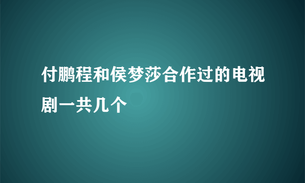 付鹏程和侯梦莎合作过的电视剧一共几个