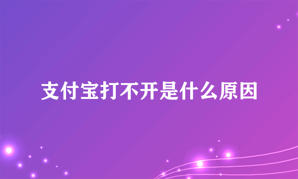 支付宝打不开是什么原因