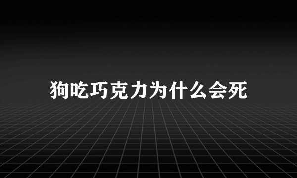 狗吃巧克力为什么会死