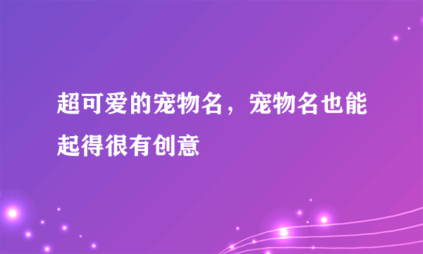 超可爱的宠物名，宠物名也能起得很有创意