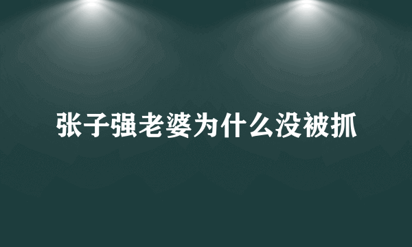 张子强老婆为什么没被抓