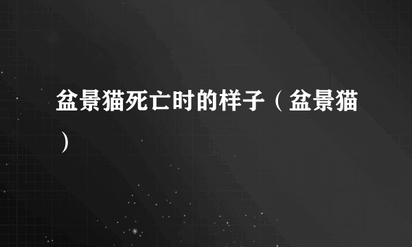 盆景猫死亡时的样子（盆景猫）