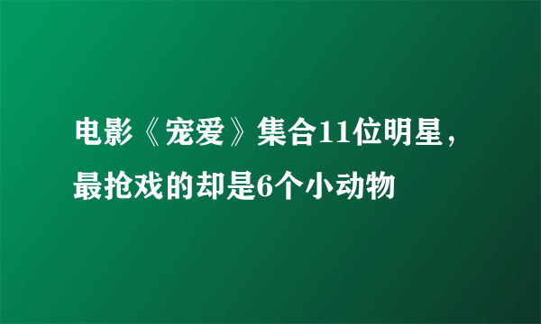 电影《宠爱》集合11位明星，最抢戏的却是6个小动物