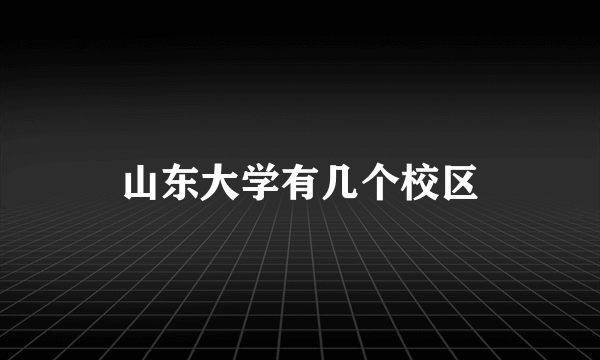 山东大学有几个校区