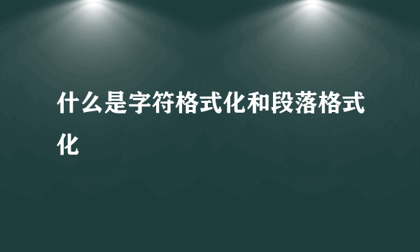 什么是字符格式化和段落格式化