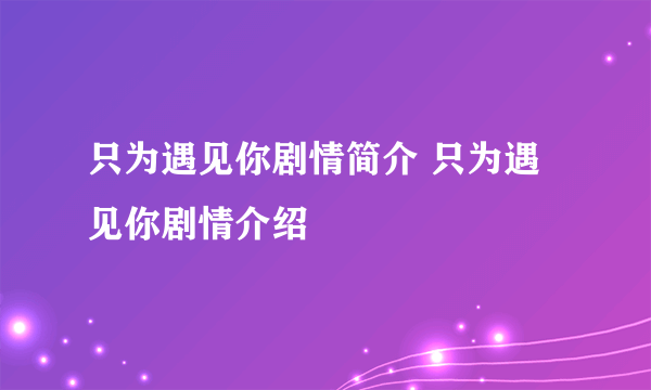 只为遇见你剧情简介 只为遇见你剧情介绍