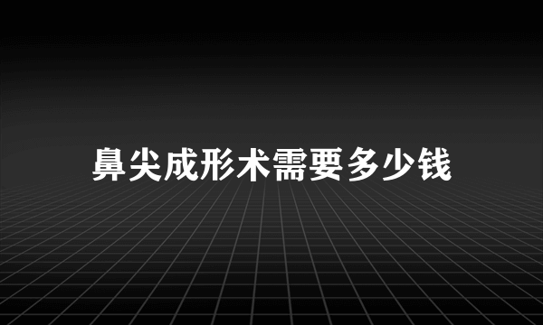 鼻尖成形术需要多少钱