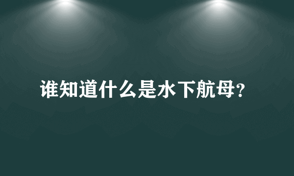 谁知道什么是水下航母？