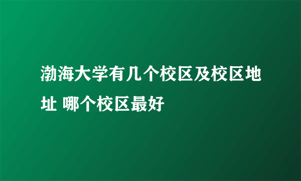 渤海大学有几个校区及校区地址 哪个校区最好