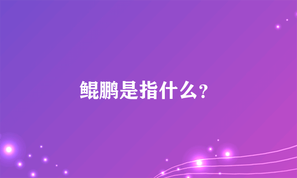 鲲鹏是指什么？