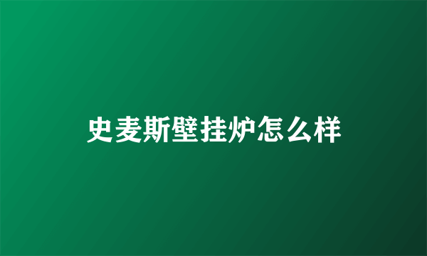 史麦斯壁挂炉怎么样