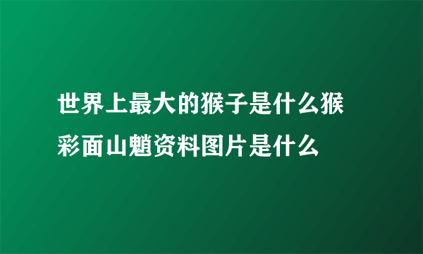 世界上最大的猴子是什么猴 彩面山魈资料图片是什么