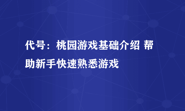 代号：桃园游戏基础介绍 帮助新手快速熟悉游戏