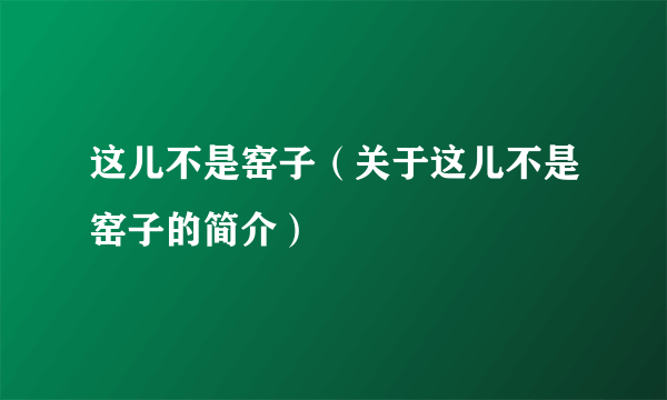 这儿不是窑子（关于这儿不是窑子的简介）