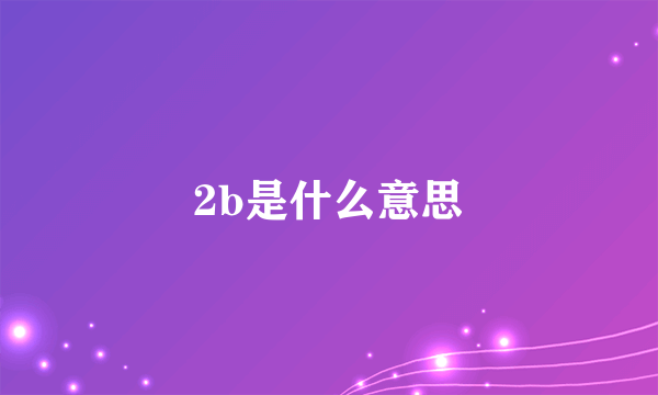 2b是什么意思