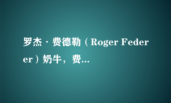 罗杰·费德勒（Roger Federer）奶牛，费神，费天王简介，资料