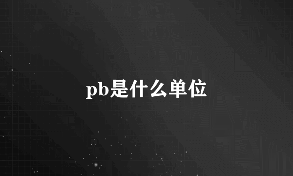 pb是什么单位