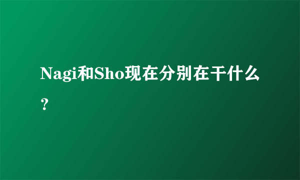 Nagi和Sho现在分别在干什么？